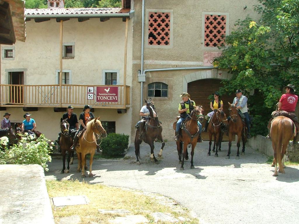 Toncevi Eco Estate Hotel Branik Exterior photo